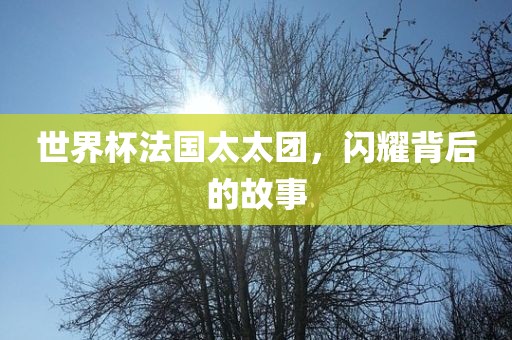 世界杯法国太太团，闪耀背后的故事广西贺州市华昌新材料有限公司