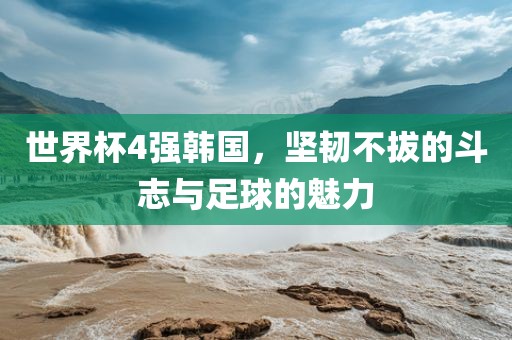 世界杯4强韩国，坚韧不拔的斗志与足球的魅力广西贺州市华昌新材料有限公司