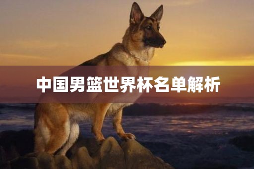 中国男篮世界杯名单解析广西贺州市华昌新材料有限公司