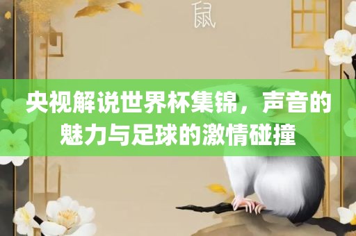 央视解说世界杯集锦，声音的魅力与足球的激情碰撞