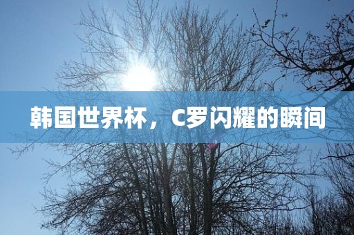韩国世界杯，C罗闪耀的瞬间