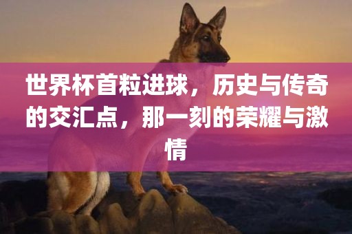 世界杯首粒进球，历史与传奇的交汇点，那一刻的荣耀与激情广西贺州市华昌新材料有限公司