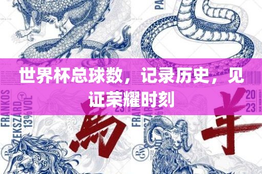 世界杯总球数，记录历史，见证荣耀时刻