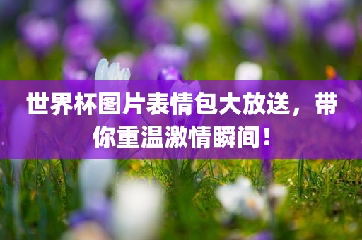 世界杯图片表情包大放送，带你重温激情瞬间！