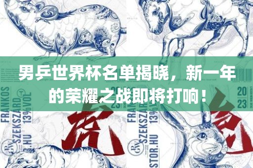 男乒世界杯名单揭晓，新一年的荣耀之战即将打响！广西贺州市华昌新材料有限公司