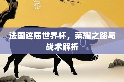 法国这届世界杯，荣耀之路与战术解析