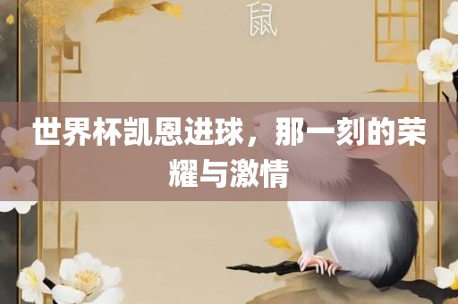 世界杯凯恩进球，那一刻的荣耀与激情