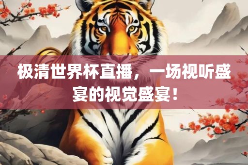 极清世界杯直播，一场视听盛宴的视觉盛宴！广西贺州市华昌新材料有限公司
