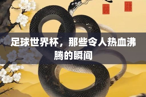 足球世界杯，那些令人热血沸腾的瞬间