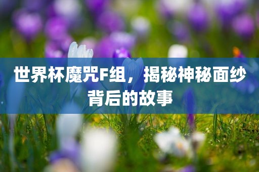 世界杯魔咒F组，揭秘神秘面纱背后的故事广西贺州市华昌新材料有限公司