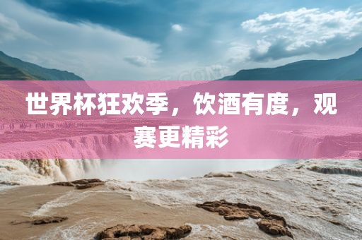 世界杯狂欢季，饮酒有度，观赛更精彩