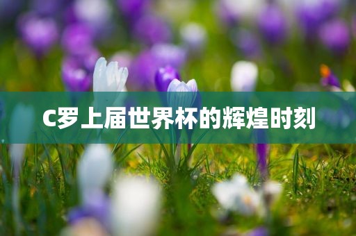 C罗上届世界杯的辉煌时刻广西贺州市华昌新材料有限公司