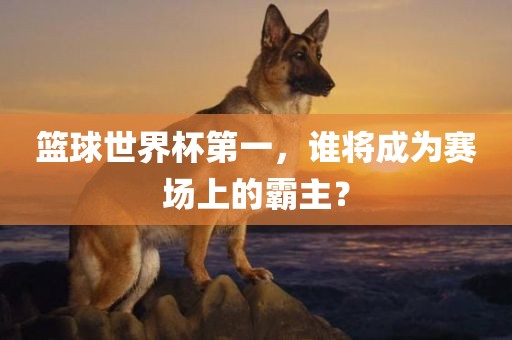 篮球世界杯第一，谁将成为赛场上的霸主？