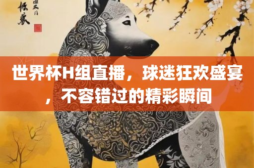 世界杯H组直播，球迷狂欢盛宴，不容错过的精彩瞬间