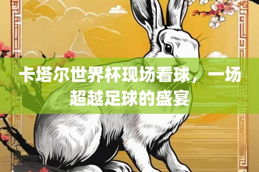 卡塔尔世界杯现场看球，一场超越足球的盛宴
