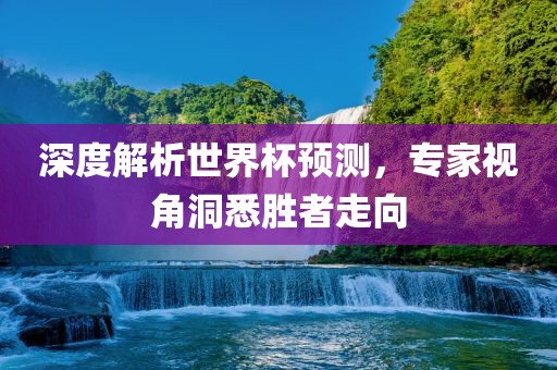 深度解析世界杯预测，专家视角洞悉胜者走向