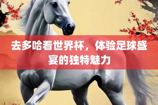 去多哈看世界杯，体验足球盛宴的独特魅力广西贺州市华昌新材料有限公司