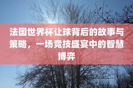 法国世界杯让球背后的故事与策略，一场竞技盛宴中的智慧博弈