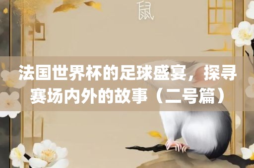 法国世界杯的足球盛宴，探寻赛场内外的故事（二号篇）