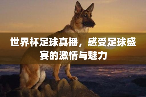 足球盛宴激情与魅力