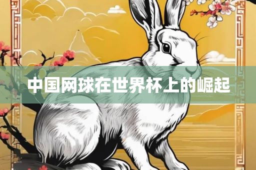 中国网球在世界杯上的崛起广西贺州市华昌新材料有限公司