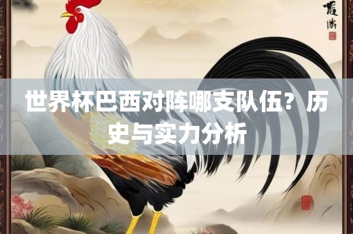 世界杯巴西对阵哪支队伍广西贺州市华昌新材料有限公司？历史与实力分析