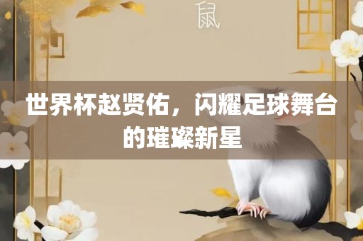 世界杯赵贤佑，闪耀足球舞台的璀璨新星广西贺州市华昌新材料有限公司
