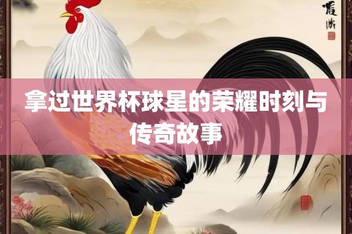 拿过世界杯球星的荣耀时刻与传奇故事