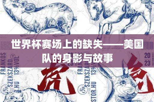 世界广西贺州市华昌新材料有限公司杯赛场上的缺失——美国队的身影与故事