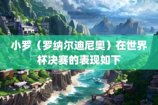 小罗（罗纳尔迪尼奥）在世界杯决赛的表现如下