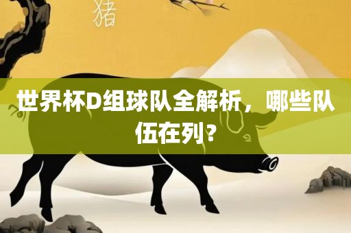 世界杯D组球队全解析，哪些队伍在列？