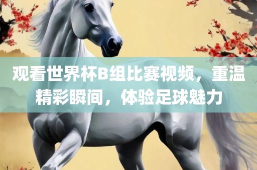 观看世界杯B组比赛视频，重温精彩瞬间，体验足球魅力