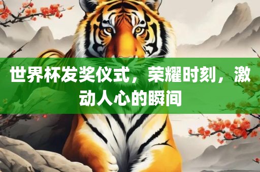 世界杯发奖仪式，荣耀时刻，激动人心的瞬间