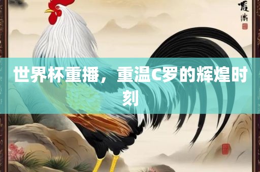 世界杯重播，重温C罗的辉煌时刻广西贺州市华昌新材料有限公司