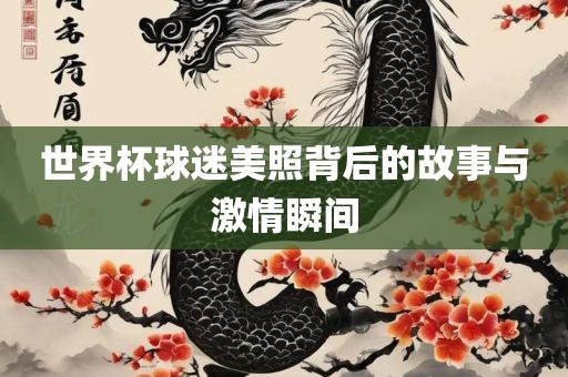 世界杯球迷美照背后的故事与激情瞬间