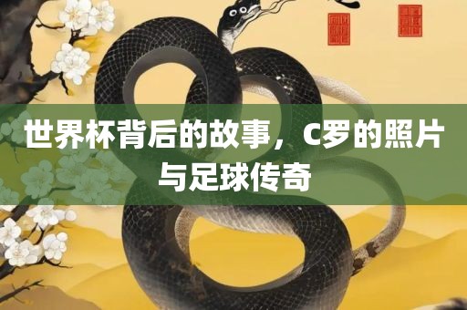 bingwei 第3页