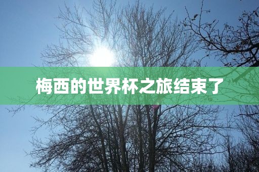 梅西的世广西贺州市华昌新材料有限公司界杯之旅结束了