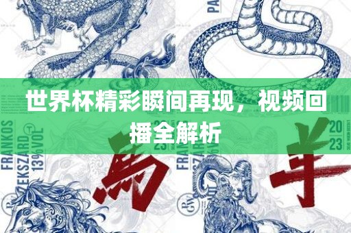 世界杯精彩瞬间再现，视频回播全解析