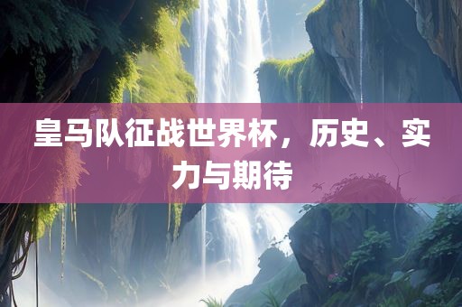 皇马队征战世界杯，历史、实力与期待
