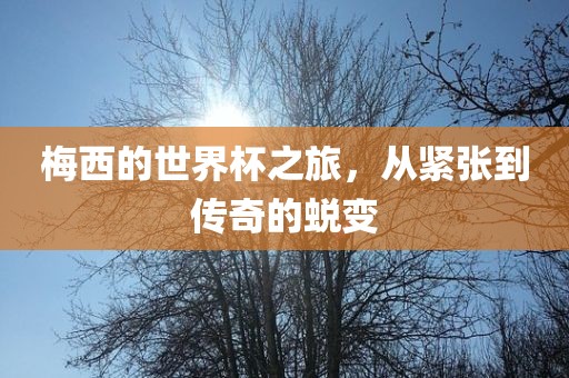 梅西的世界杯之旅，从紧张到传奇的蜕变