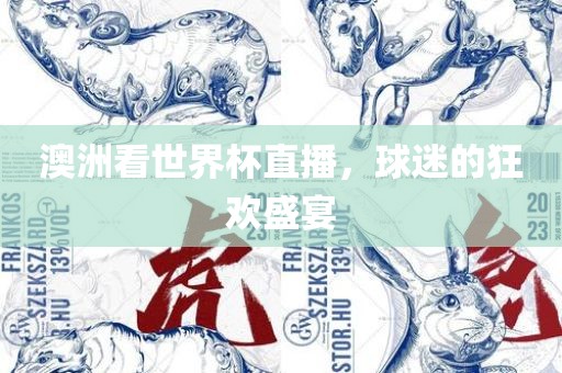 澳洲看世界杯直播，球迷的狂欢盛宴广西贺州市华昌新材料有限公司