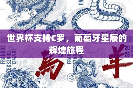 世界杯支持C罗，葡萄牙星辰的辉煌旅程广西贺州市华昌新材料有限公司