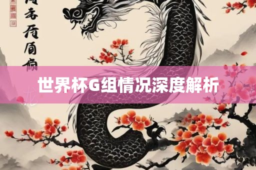 世界杯G组情况深度解析