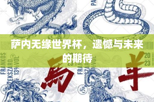 萨内无缘世界杯，遗憾与未来的期待广西贺州市华昌新材料有限公司