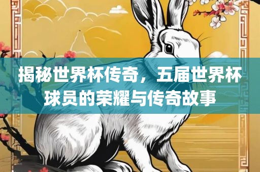 揭秘世界杯传奇，五届世界杯球员的荣耀与传奇故事广西贺州市华昌新材料有限公司