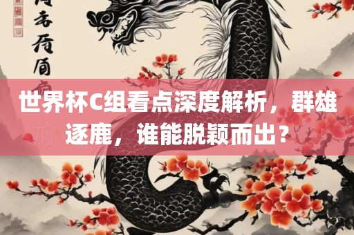 世界杯C组看点深度解析，群雄逐鹿，谁能脱颖而出？