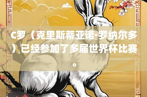 C罗（克里斯蒂亚诺·罗纳尔多）已经参加了多届世界杯比赛。