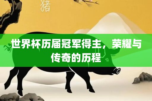 世界杯历届冠军得主，荣耀与传奇的历程