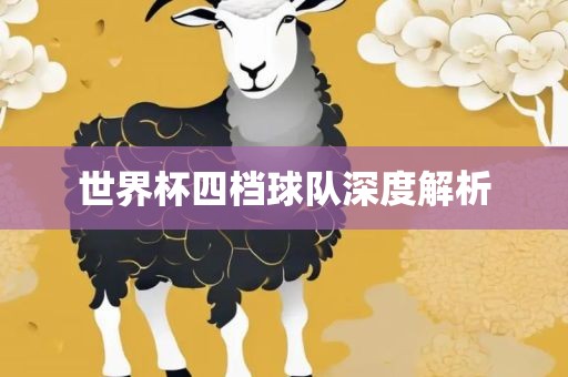 世界杯四档球队深度解析