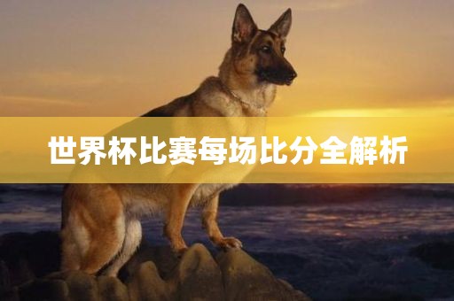 世界杯比赛每场比分全解析